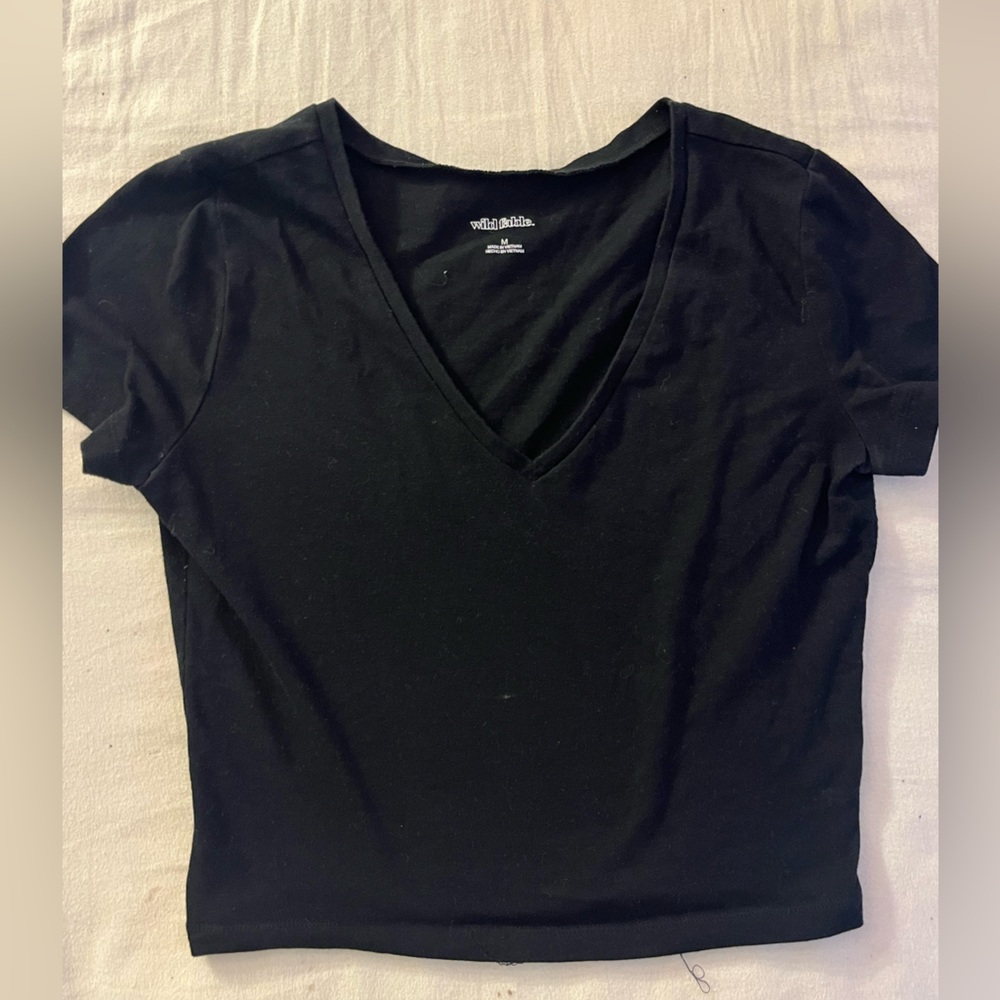 Wild fable crop top